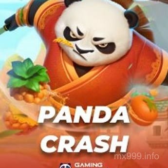 Imagen de Panda Crash